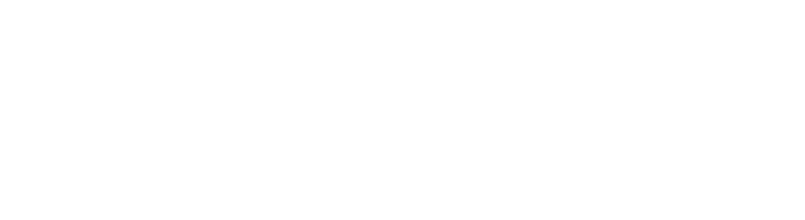 vn tiki 2 1 vn tiki 2 1